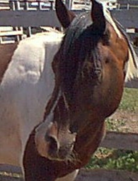 billy78.jpg
