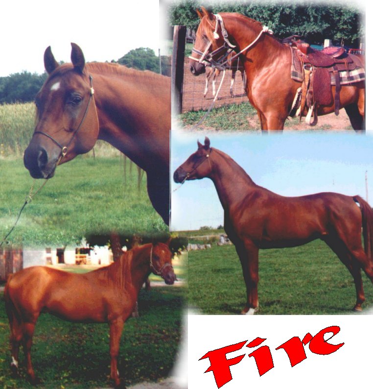 fabalasfire.jpg