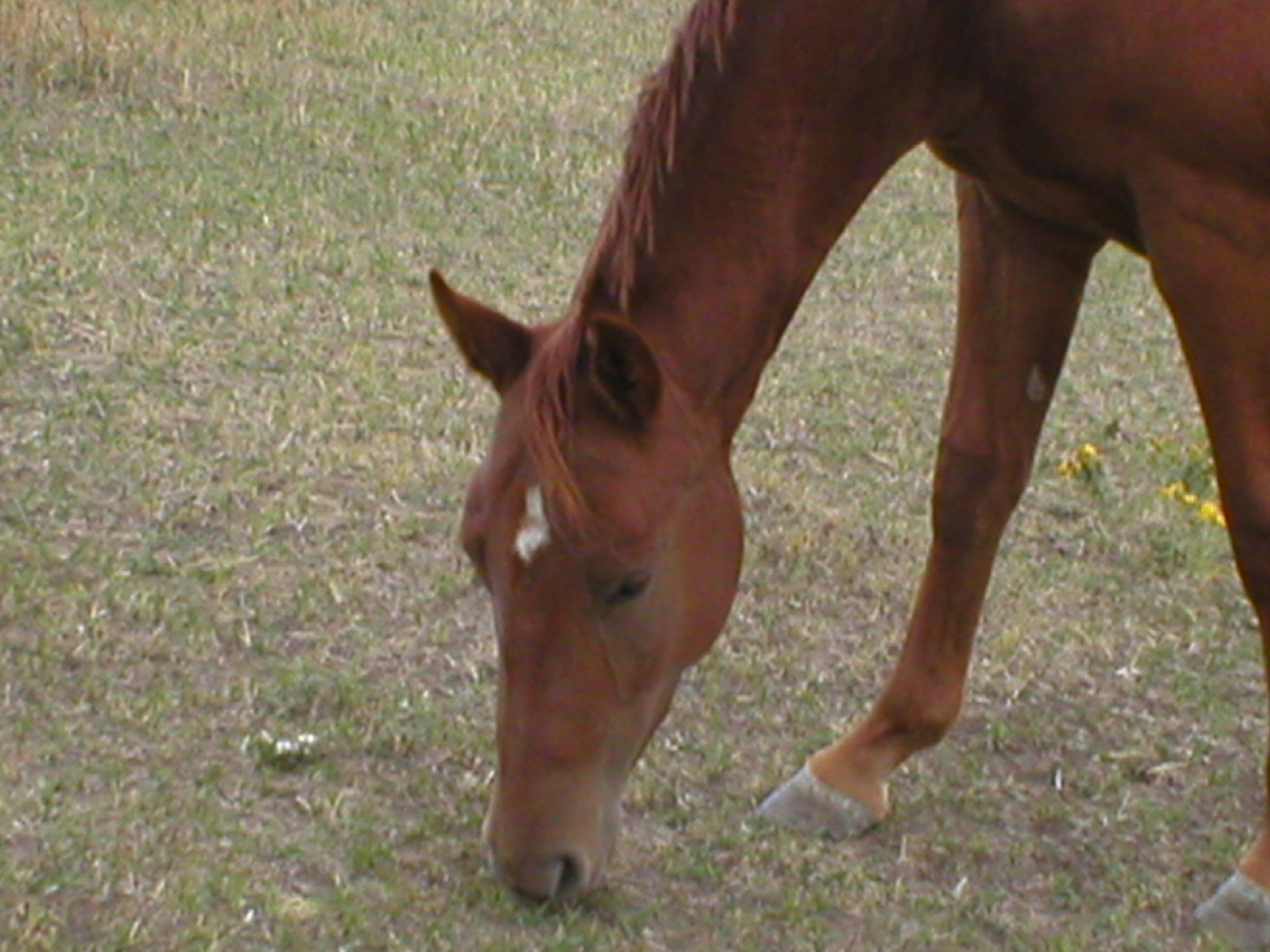 p1010034.jpg