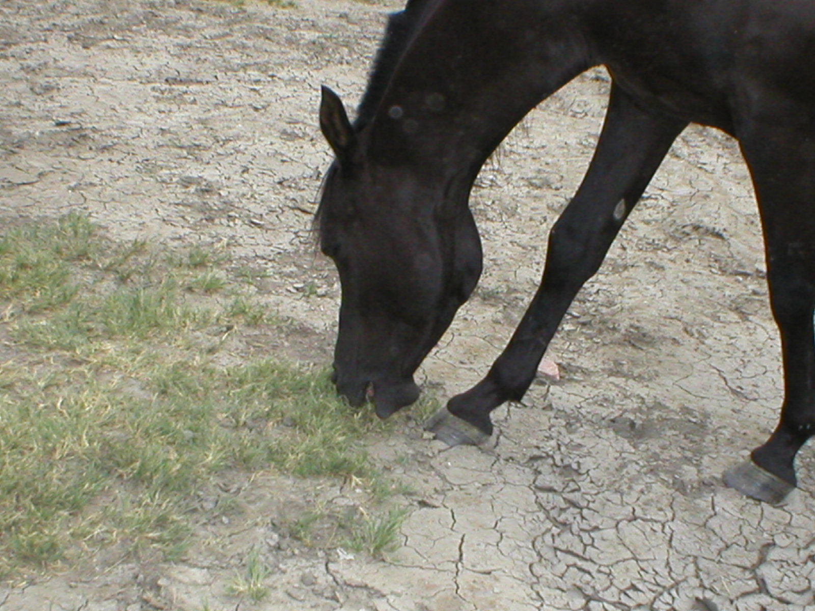 p8090034.jpg