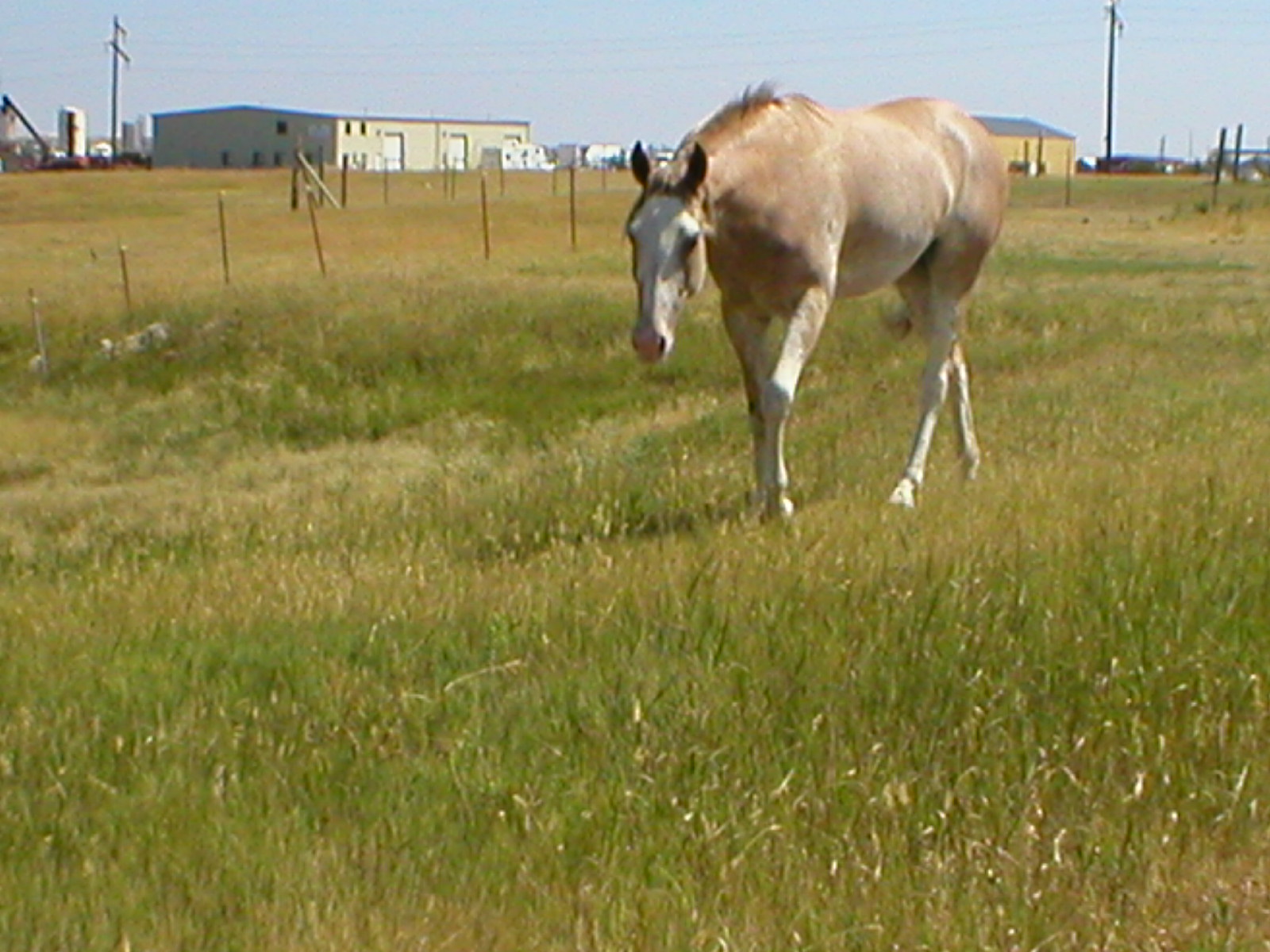 p8100017.jpg