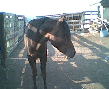 pict0139.jpg