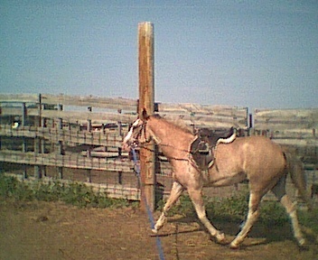 pict0196.jpg