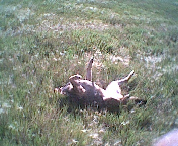 pict0275.jpg