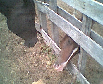 pict0280.jpg