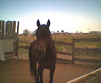 pict0288.jpg