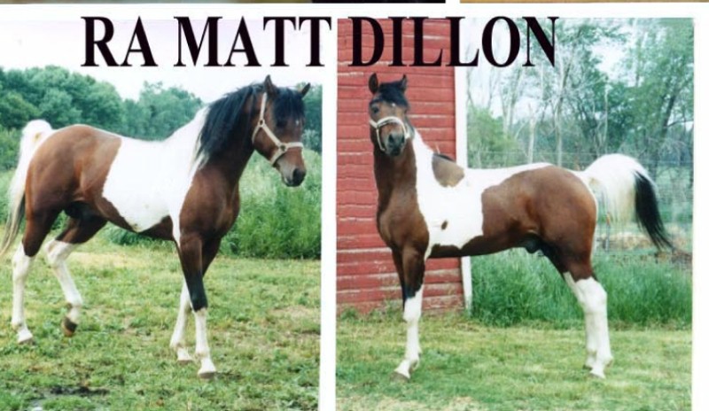 rapmattdillion.jpg