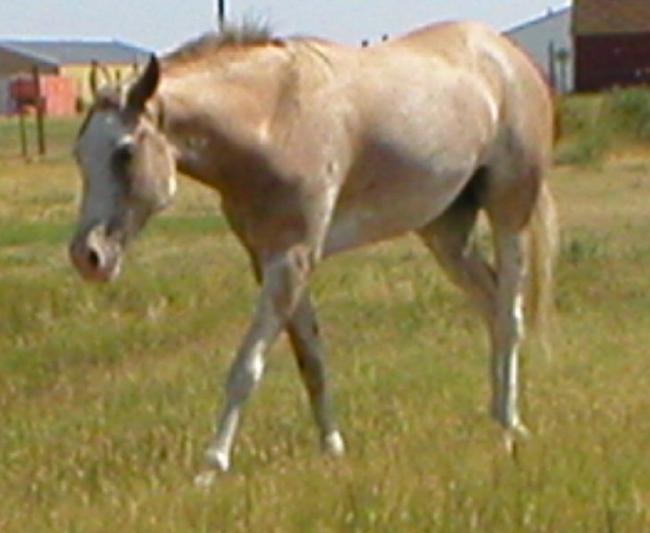 stella2.jpg